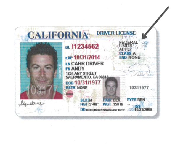 find florida driver license number