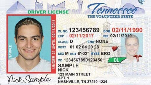 find florida driver license number
